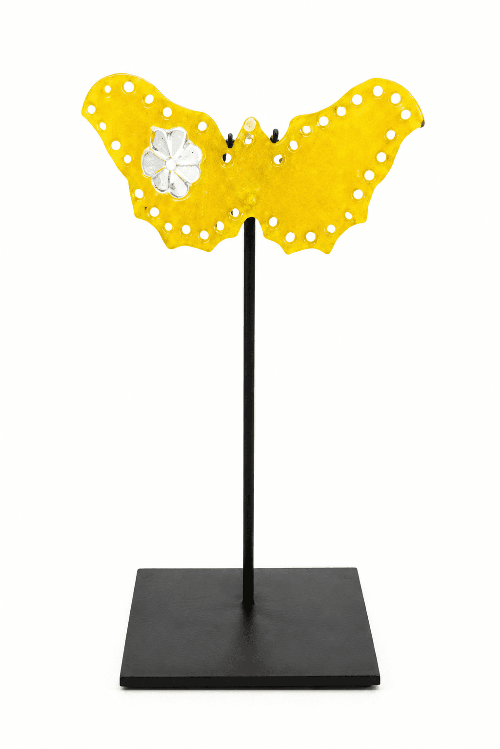 Yellow Butterfly with White Flower by Marlene Rose