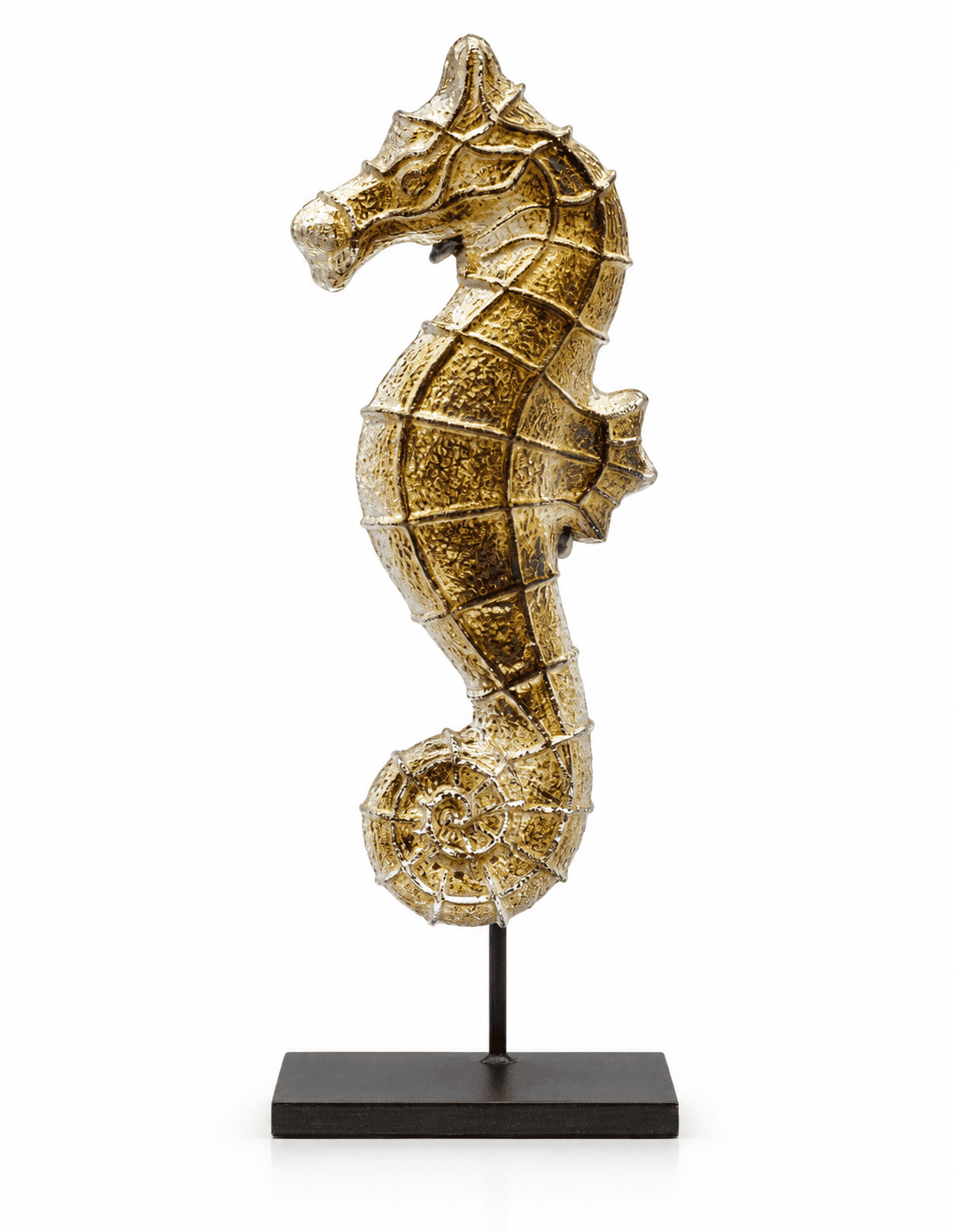 Seahorse